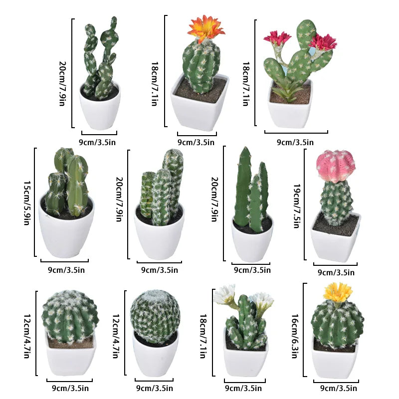 Mini Cactus en Plastique