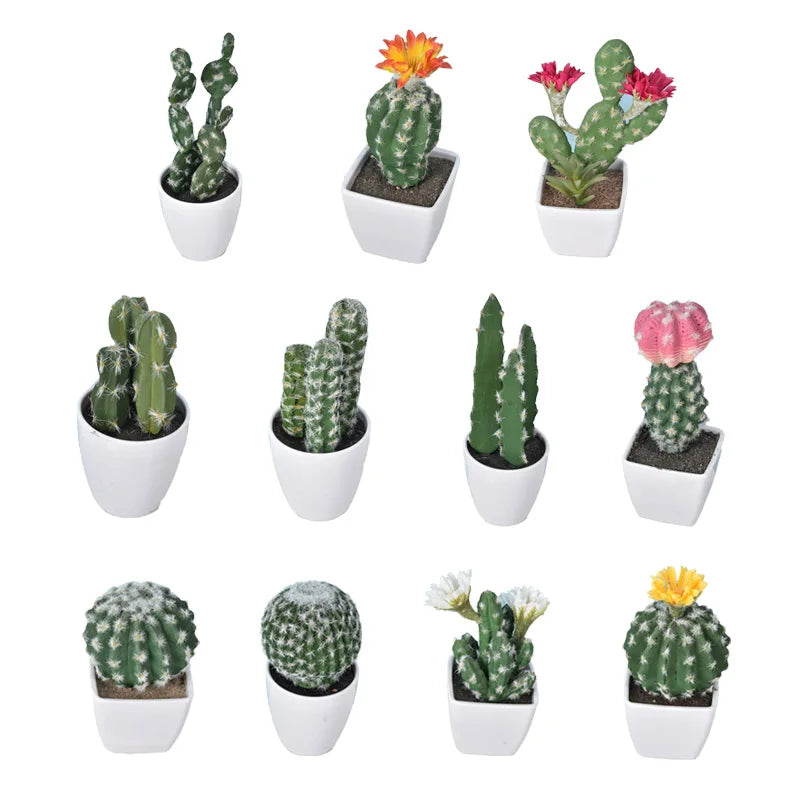 Mini Cactus en Plastique