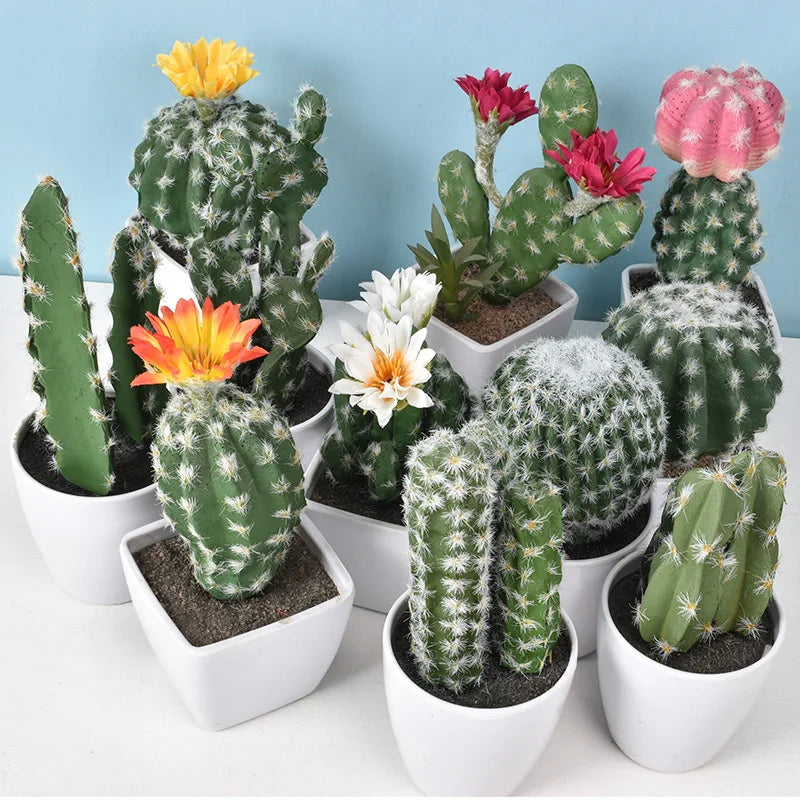 Mini Cactus en Plastique