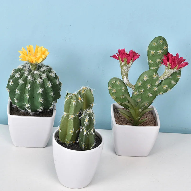 Mini Cactus en Plastique