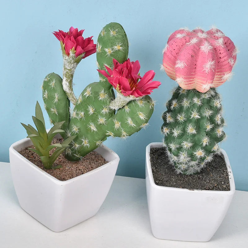 Mini Cactus en Plastique